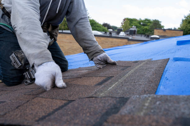 Best Roof Waterproofing Services  in Manton, MI