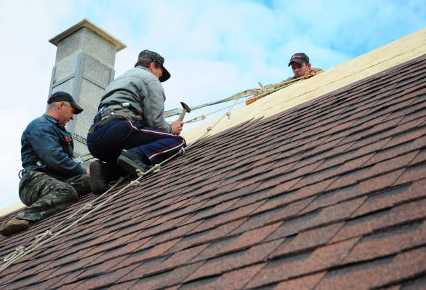 Best Sealant for Roof  in Manton, MI
